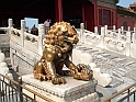 cina 076